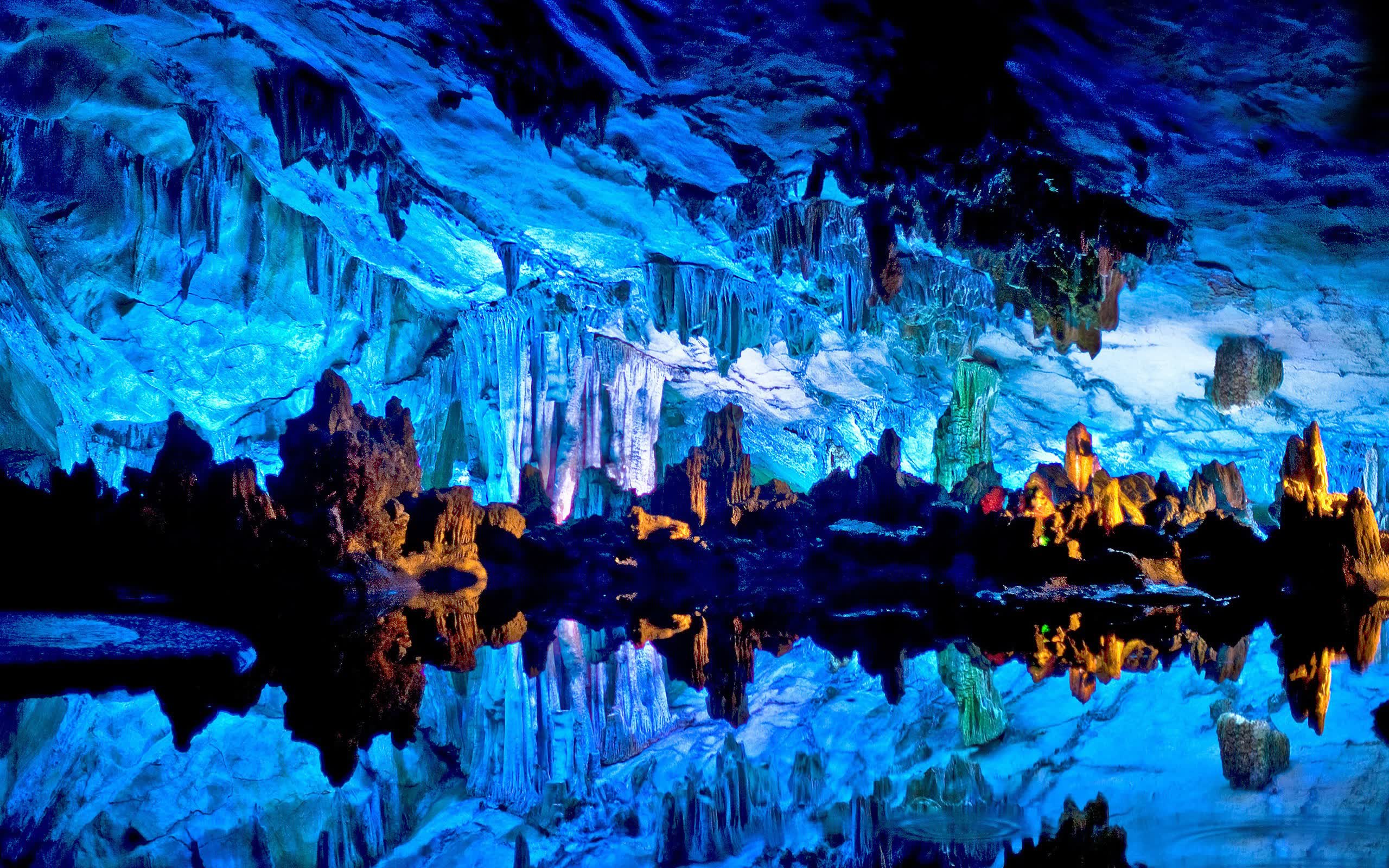 世界登山青年导师生态修复项目第41批结项成果发布，世界登山大师